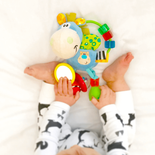 Playgro Activity Rattle Clip Clop Early Learning Centre