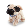 547012_PUG-2.jpg