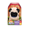 547012_PUG-3.jpg