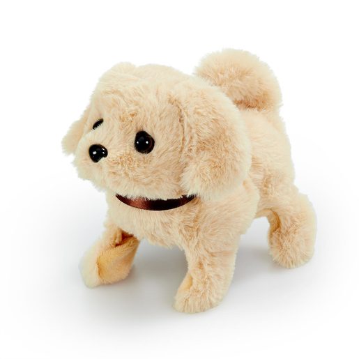 547012_lab(new1) (3).jpg