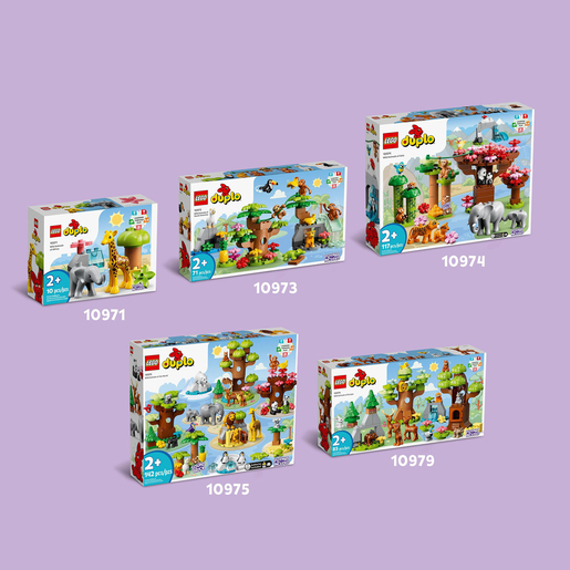 557644-(6).jpg