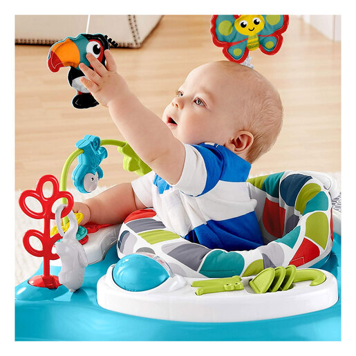 Baby Activity Center Best Baby Jumper Uk Fisher-Price Colour