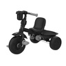 583531-2.jpg