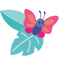 Butterfly Butterfly