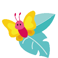 Butterfly Butterfly