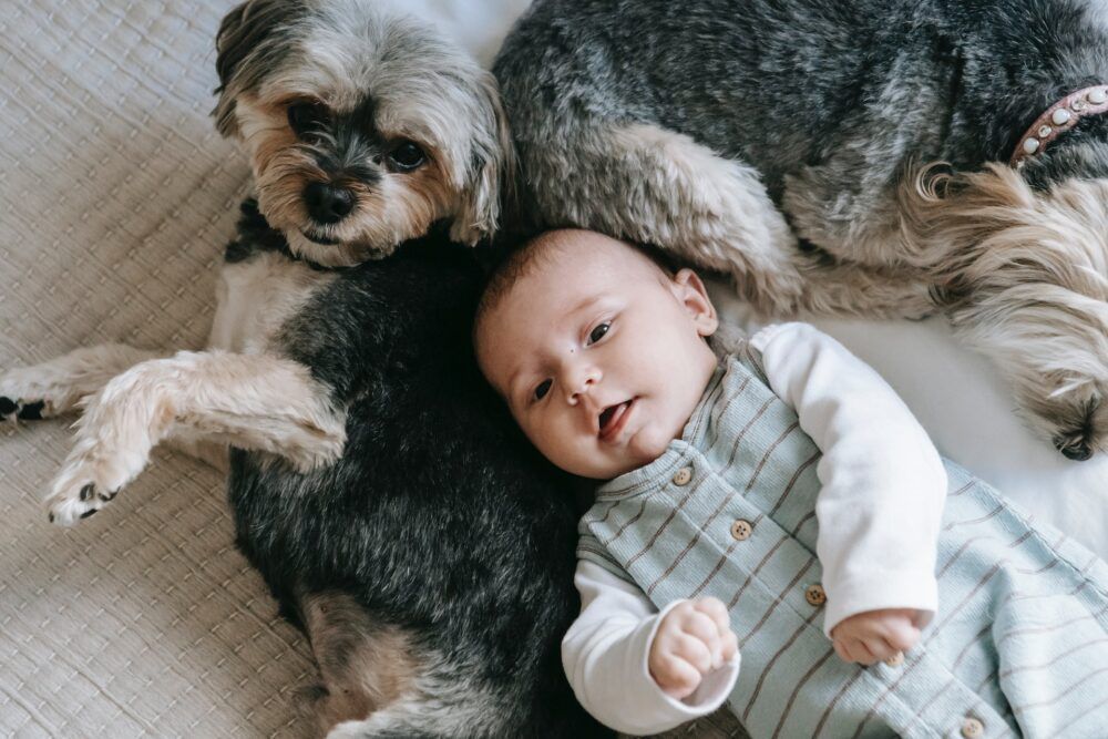 Baby with dog.